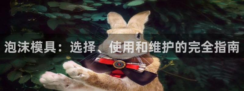 太阳诚集团有限公司是国企吗：泡沫模具：选择、使用和维护的完全指南