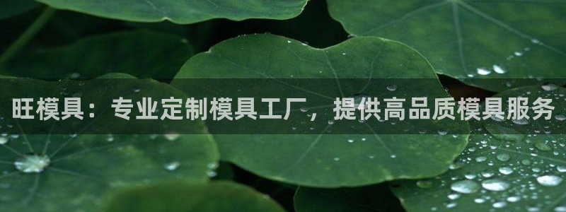 太阳集团电子游戏官网