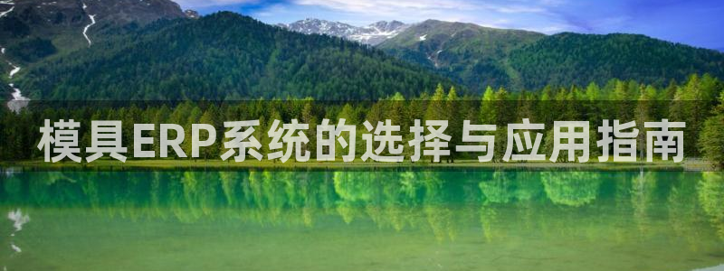 太阳地产集团：模具ERP系统的选择与应用指南