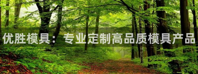 太阳集团城官方app：优胜模具：专业定制高品质模具产品