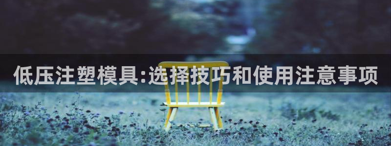太阳成集团tyc234cc投资控股集团：低压注塑模具:选择技巧和使用注意事项