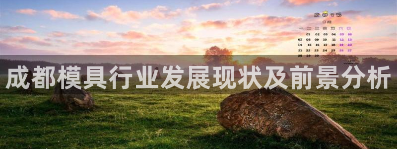 太阳成集团视频：成都模具行业发展现状及前景分析