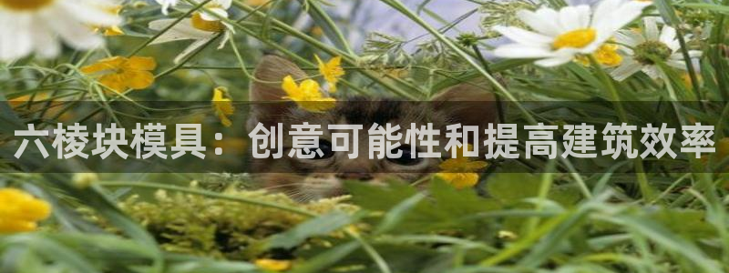 太阳集团电子游戏老板：六棱块模具：创意可能性和提高建筑效率