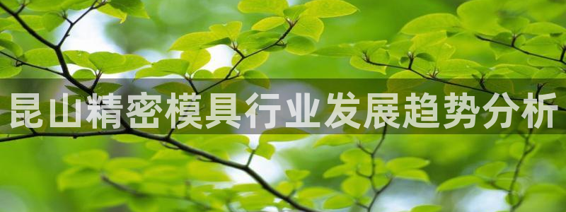 太阳集团城网址