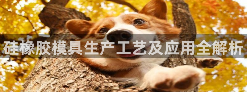太阳成娱乐集团：硅橡胶模具生产工艺及应用全解析