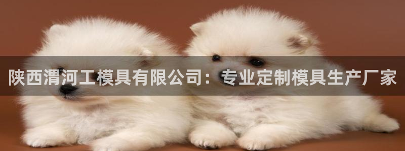 太阳集团股份有限公司