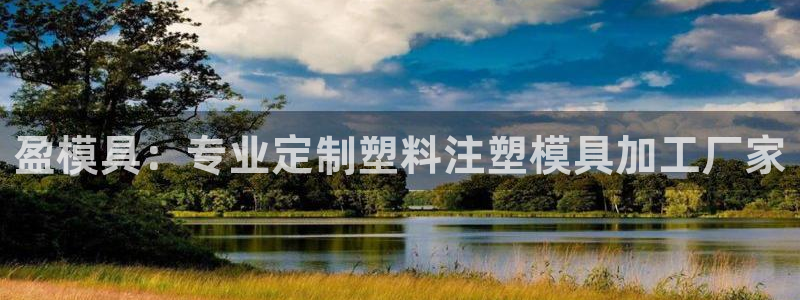 太阳集团电子游戏有限公司：盈模具：专业定制塑料注塑模具加工厂家