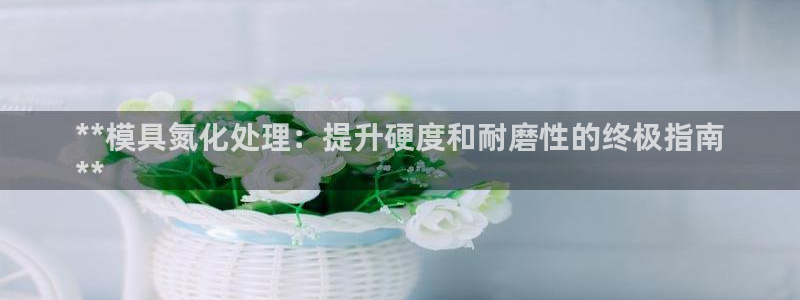 太阳游戏视频：**模具氮化处理：提升硬度和耐磨性的终极指南
**