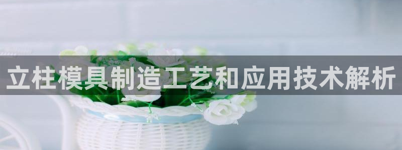 太阳成集团客服：立柱模具制造工艺和应用技术解析