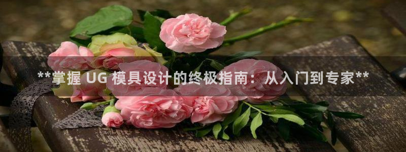 太阳集团城2017：**掌握 UG 模具设计的终极指南：从入门到专家**