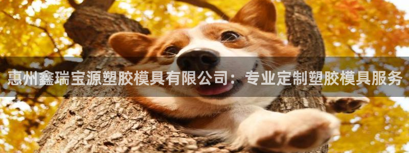 太阳成集团视频：惠州鑫瑞宝源塑胶模具有限公司：专业定制塑胶模具服务