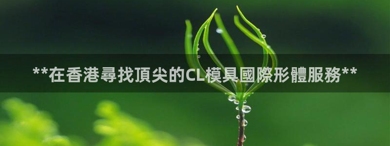 太阳集团的股价是多少：**在香港尋找頂尖的CL模具國際形體服務**