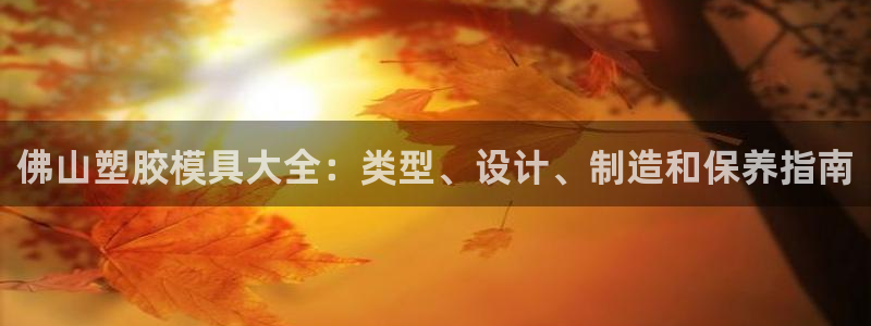 冷太阳演员表：佛山塑胶模具大全：类型、设计、制造和保养指南