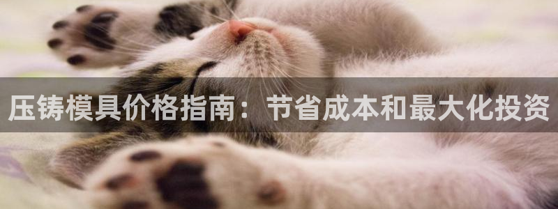 太阳集团游戏城旧版5376：压铸模具价格指南：节省成本和最大化投资