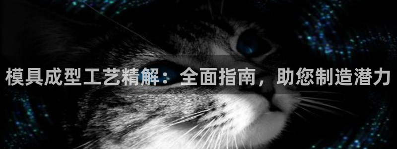 2007so太阳集团下载：模具成型工艺精解：全面指南，助您制造潜力
