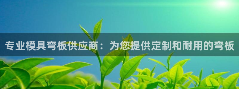 太阳集团tcy8722-主页|欢迎您：专业模具弯板供应商：为您提供定制和耐用的弯板