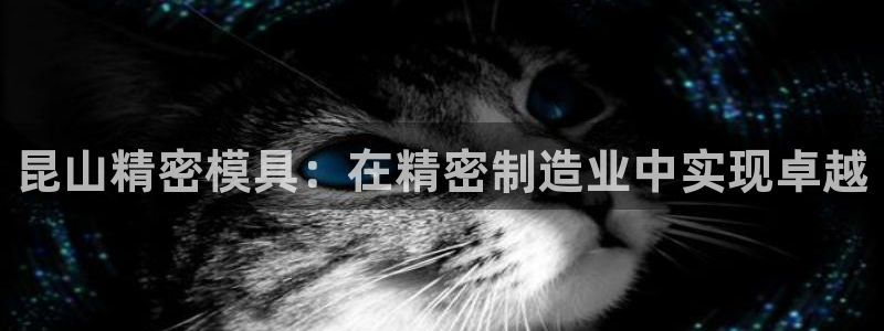 太阳集团的老总是谁：昆山精密模具：在精密制造业中实现卓越