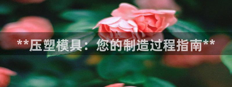 太阳商城贵宾会：**压塑模具：您的制造过程指南**