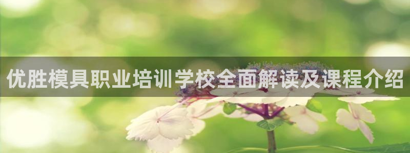 太阳成集团网站5：优胜模具职业培训学校全面解读及课程介绍