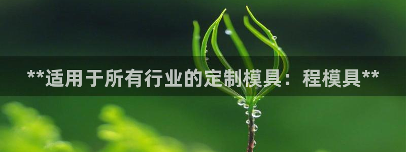 太阳成集团tyc234cc[主页]网址：**适用于所有行业的定制模具：程模具**