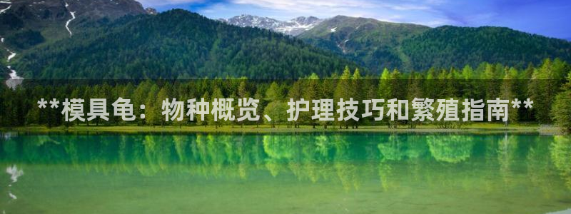 太阳集团是怎样一个公司：**模具龟：物种概览、护理技巧和繁殖指南**