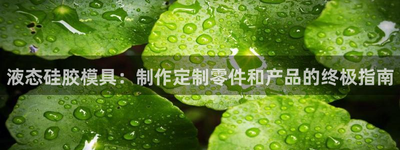 15vip太阳集团：液态硅胶模具：制作定制零件和产品的终极指南