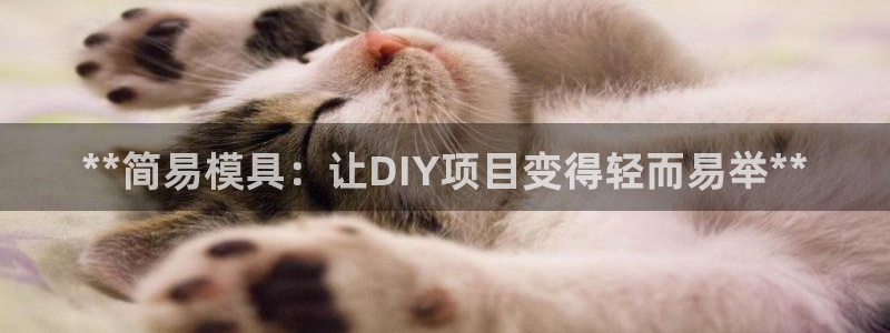 太阳集团2018网址：**简易模具：让DIY项目变得轻而易举**
