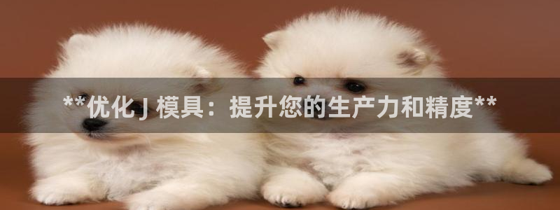 2138cn太阳集团古天乐·首页(欢迎您)：**优化 J 模具：提升您的生产力和精度**