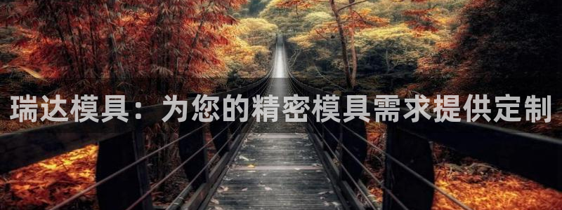 太阳app安卓版：瑞达模具：为您的精密模具需求提供定制