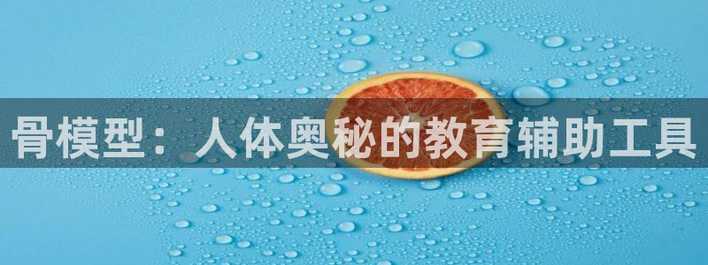 太阳集团的法人代表：骨模型：人体奥秘的教育辅助工具