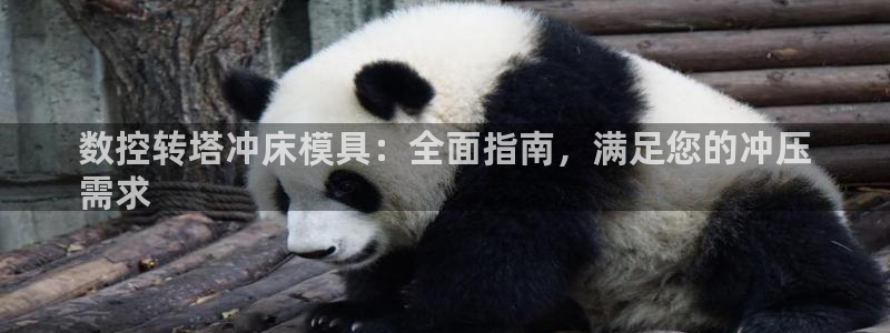 太阳集团app：数控转塔冲床模具：全面指南，满足您的冲压
需求