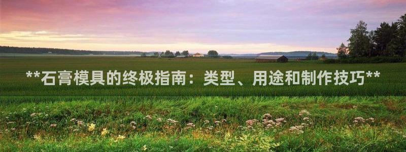 太阳诚集团视频：**石膏模具的终极指南：类型、用途和制作技巧**