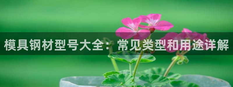 太阳诚集团有限公司是国企吗：模具钢材型号大全：常见类型和用途详解