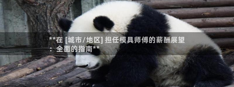 太阳集团电子游戏：**在 [城市/地区] 担任模具师傅的薪酬展望
：全面的指南**