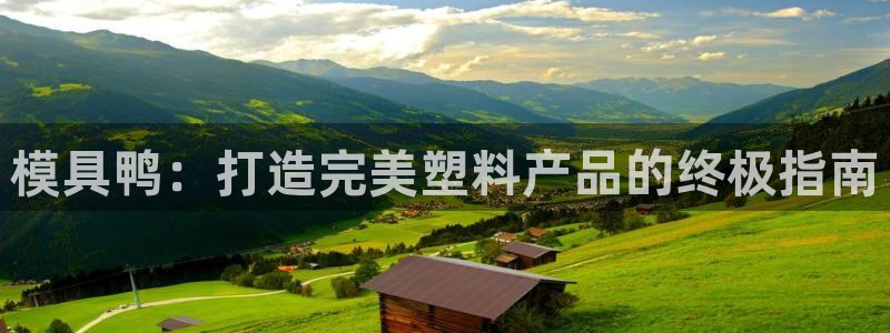 太阳成集团老板照片：模具鸭：打造完美塑料产品的终极指南