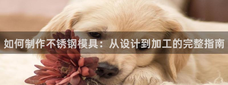 太阳游戏盒子：如何制作不锈钢模具：从设计到加工的完整指南