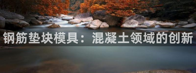 太阳成集团lougo图片：钢筋垫块模具：混凝土领域的创新