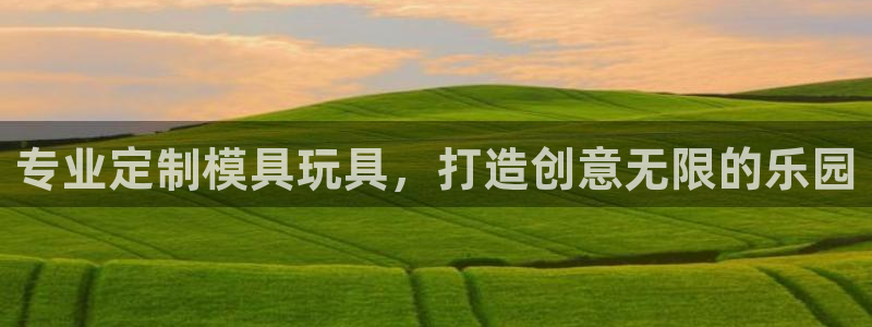 太阳appvip：专业定制模具玩具，打造创意无限的乐园
