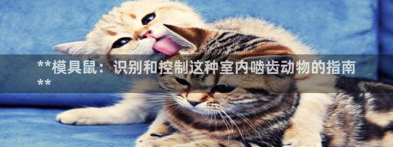 太阳成集团tyc122cc下载：**模具鼠：识别和控制这种室内啮齿动物的指南
**