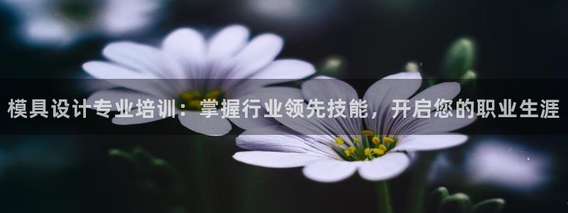太阳集团城官方app下载苹果：模具设计专业培训：掌握行业领先技能，开启您的职业生涯