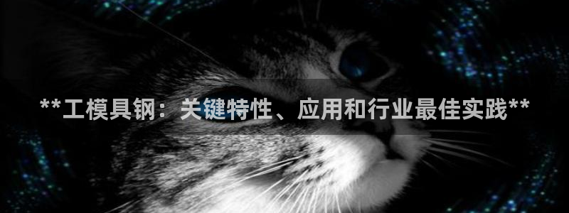 太阳成集团tyc234cc—首页欢迎您：**工模具钢：关键特性、应用和行业最佳实践**