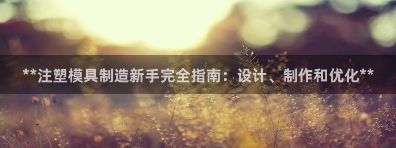 太阳c集团：**注塑模具制造新手完全指南：设计、制作和优化**