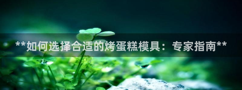 太阳gg登陆测试：**如何选择合适的烤蛋糕模具：专家指南**