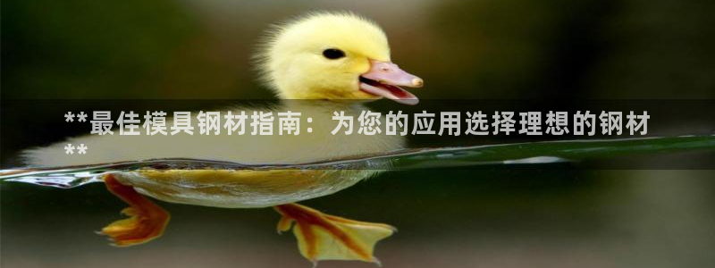 太阳集团地址：**最佳模具钢材指南：为您的应用选择理想的钢材
**