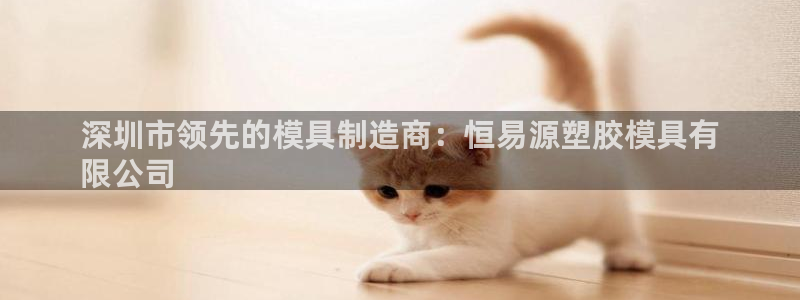 2138cn太阳集团古天乐·网上娱乐：深圳市领先的模具制造商：恒易源塑胶模具有
限公司