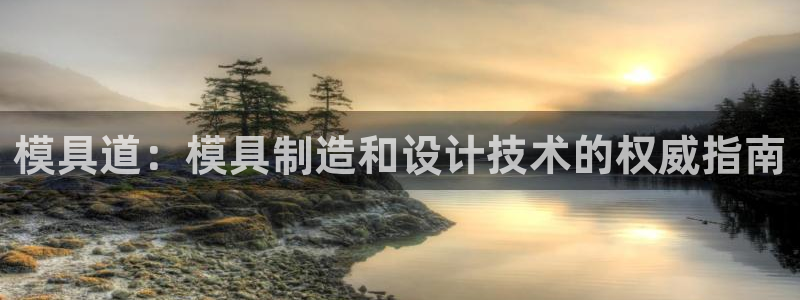 太阳gg是真的吗：模具道：模具制造和设计技术的权威指南