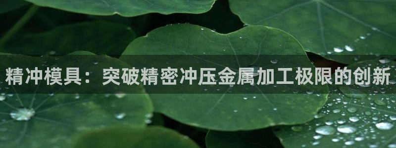 太阳商城贵宾会2017cm：精冲模具：突破精密冲压金属加工极限的创新