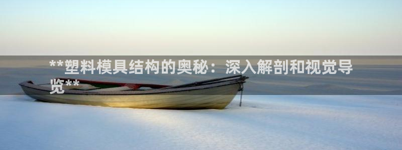 太阳app官方：**塑料模具结构的奥秘：深入解剖和视觉导
览**