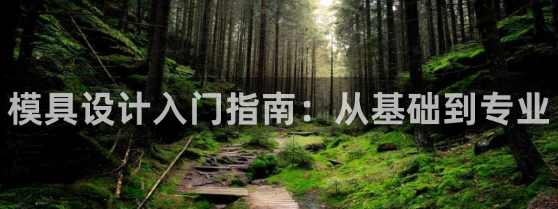 太阳集团地址：模具设计入门指南：从基础到专业