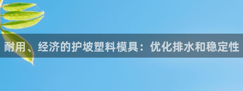 太阳集团网站入口官网：耐用、经济的护坡塑料模具：优化排水和稳定性